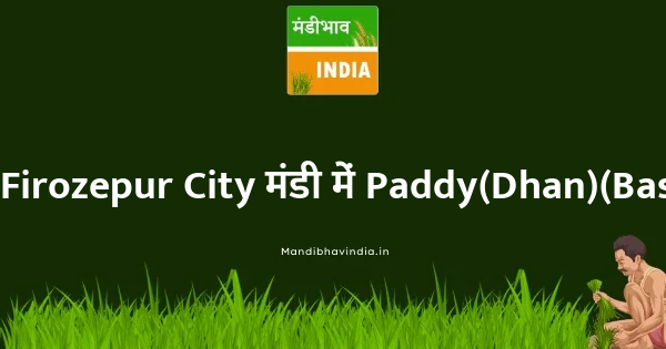 Paddy(Dhan)(Basmati) भाव